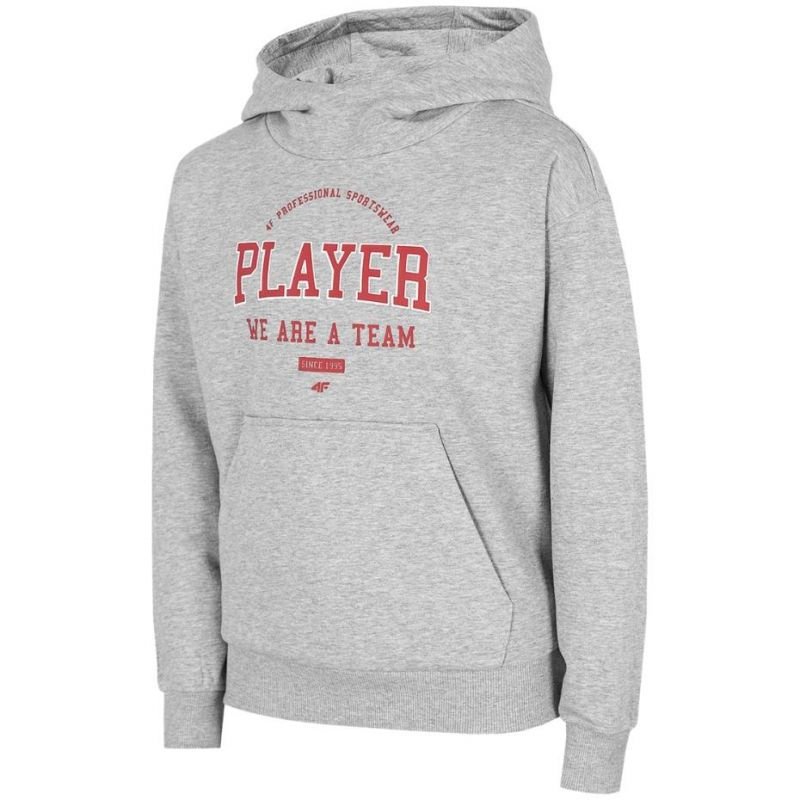 31102024672415b4b6640.jpeg 4F Erkek Çocuk Sweatshirt