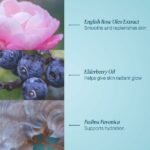 Kozmetik - Elemis Yüz Makyaj Temizleyici Balsam 100 g Hassas Ciltler İçin Besleyici Temizlik - Görsel 2
