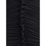 Alexander Wang Ruches Mini 2