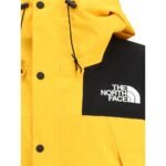 The North Face Dryvent 2