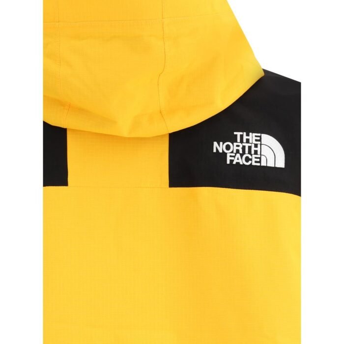 The North Face Dryvent 3