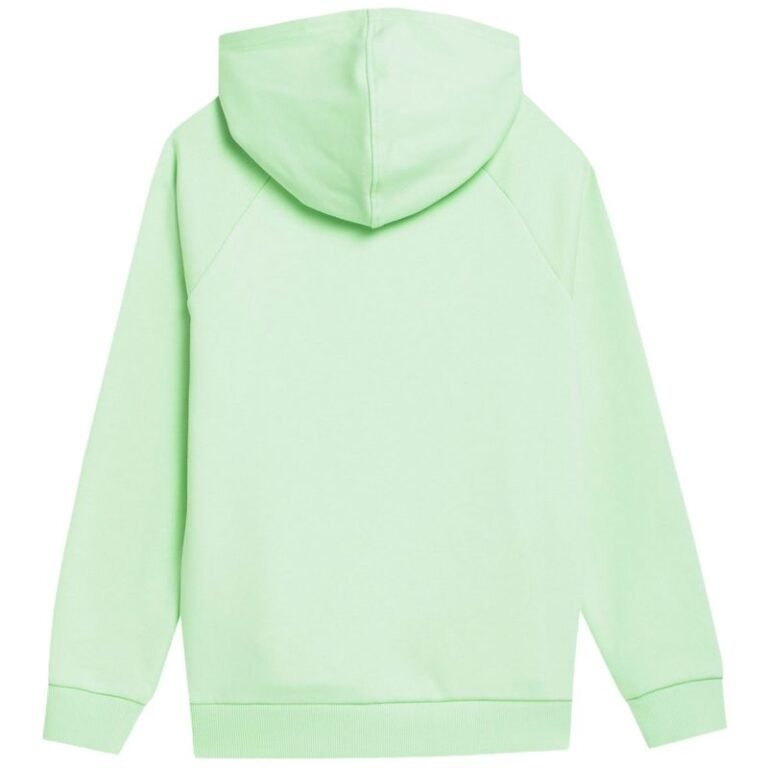 Çocuk - 4F Çocuk Sweatshirt 4FJSS23TSWSM220 42S (Çocuk, Yaşam Tarzı) - Görsel 2