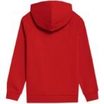 Çocuk - 4F Çocuk Sweatshirt 4FJSS23TSWSM220 62S (Çocuk, Yaşam Tarzı) - Görsel 6
