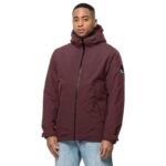 Kadın - Jack Wolfskin Tempelhof Ceket Erkek 1115491-2185 (Erkek, TurizmDış Mekan) - Görsel 2