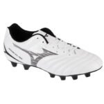 Mizuno Monarcida Neo III