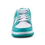 Nike Dunk Low Retro 7
