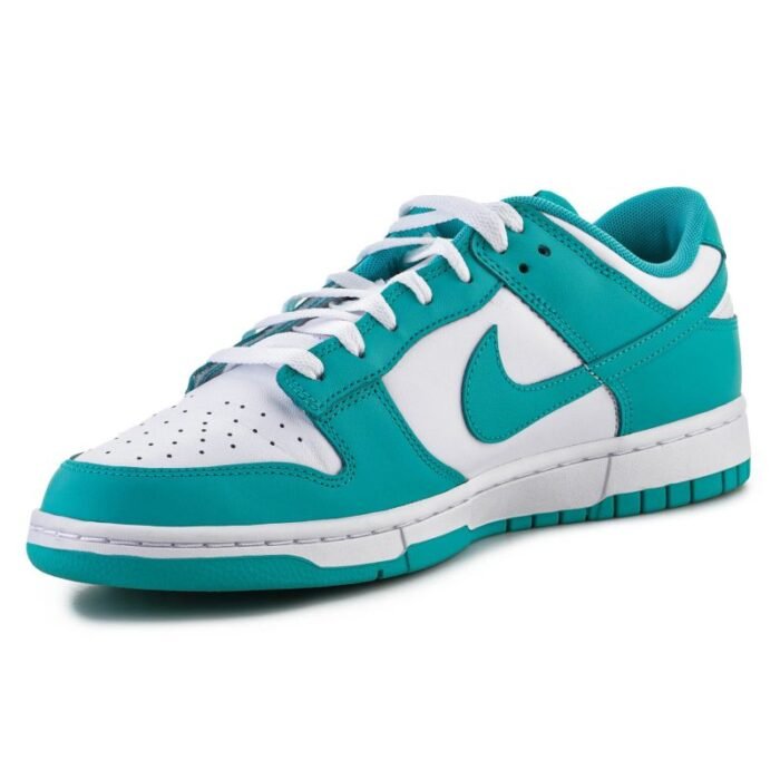 Nike Dunk Low Retro 8