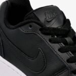 Nike Ebernon Low W 5
