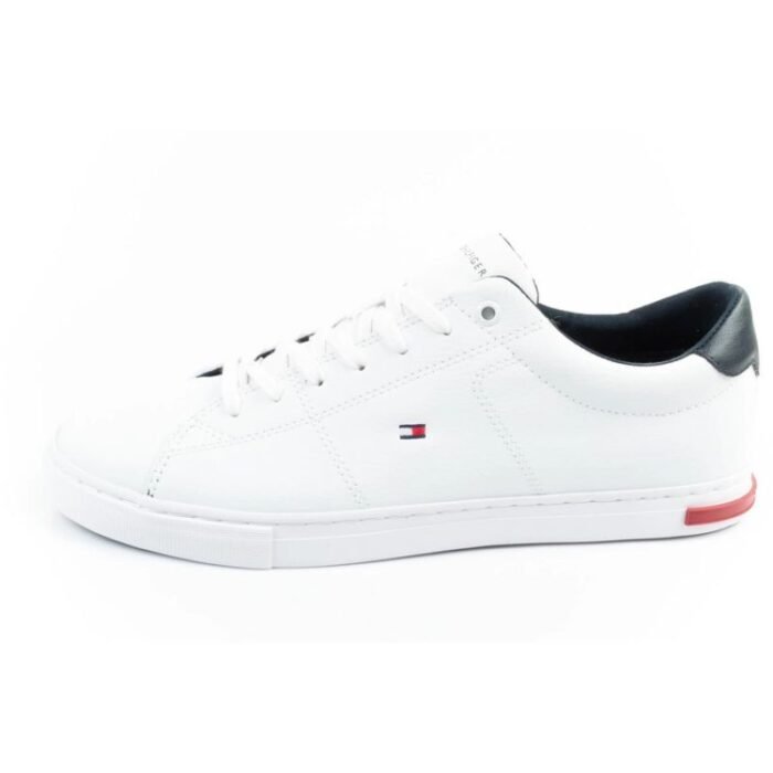 Tommy Hilfiger Essential M Ayakkabıları FM0FM04047YBR - Görsel 2