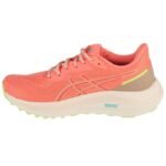 Asics GT-1000 13 TR