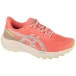 Asics GT-1000 13 TR