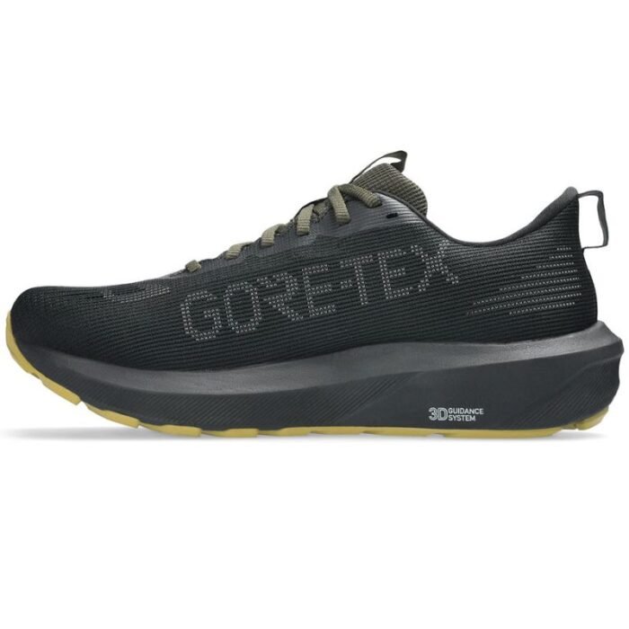 Asics GT-1000 14 GTX