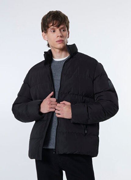 Mustang Siyah Erkek Dik