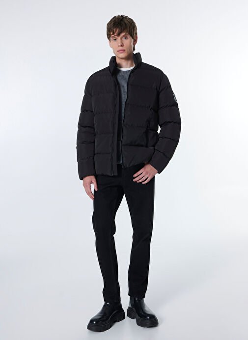 Mustang Siyah Erkek Dik 2