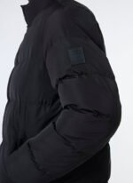 Mustang Siyah Erkek Dik 4