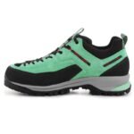 Dragontail Tech GTX WMS