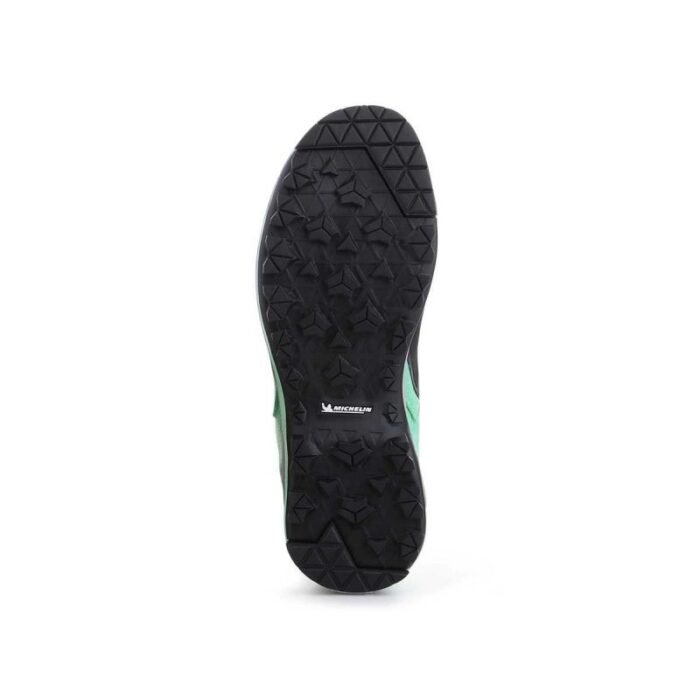 Dragontail Tech GTX WMS
