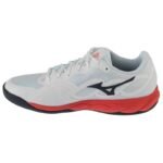 Mizuno Wave Enforce Court