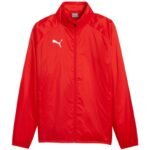 Puma Team Goal All