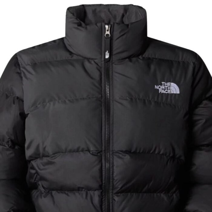 The North Face W