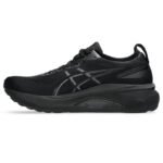 Asics Gel Kayano 31