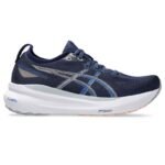 Asics Gel Kayano 31