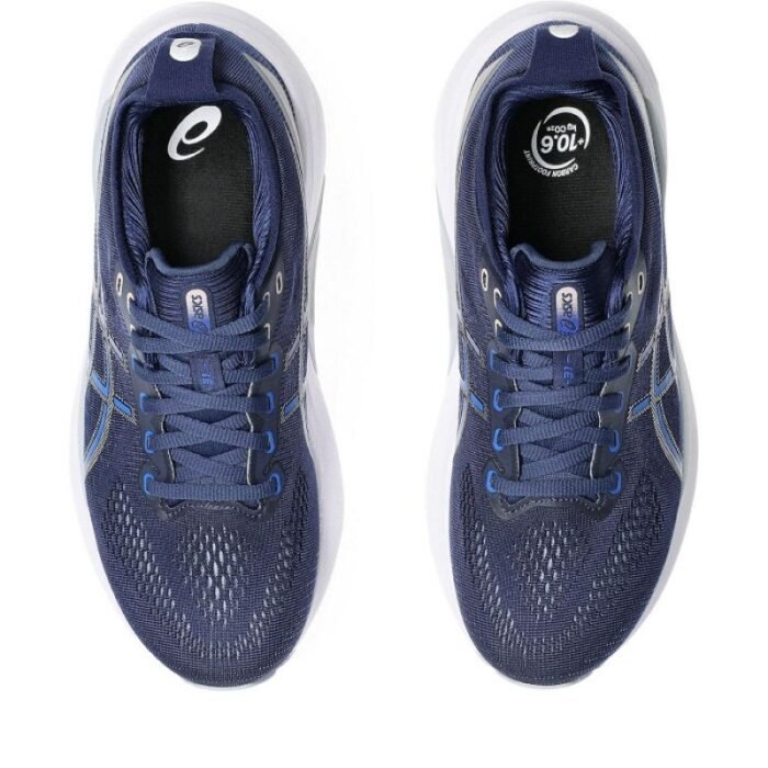 Asics Gel Kayano 31