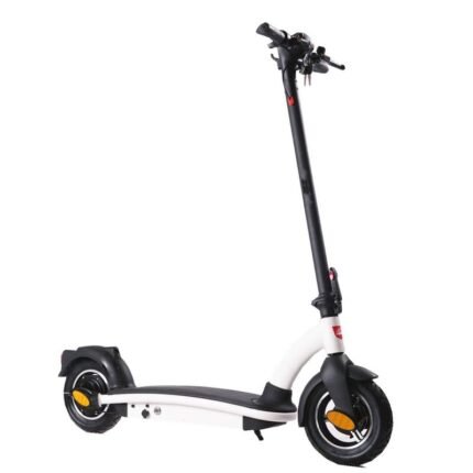 ELEKTRİKLİ SCOOTER 36V 500W