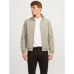 JackJones bomber ceket JJERUSH