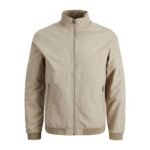 JackJones bomber ceket JJERUSH