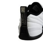 Mens Air Jordan 12
