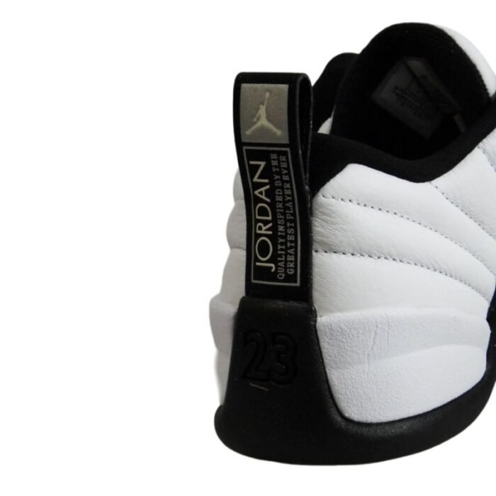 Mens Air Jordan 12