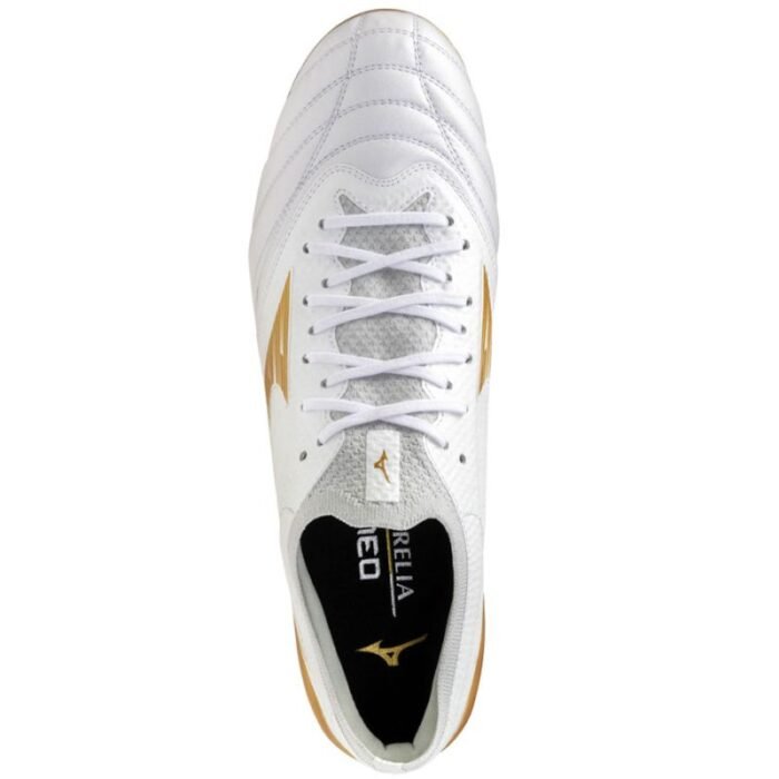 Mizuno Morelia Neo IV