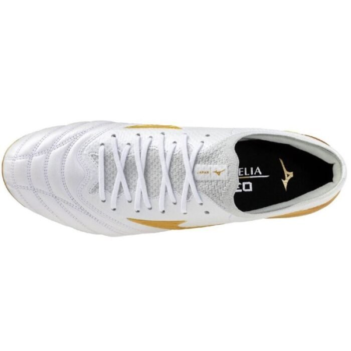 Mizuno Morelia Neo IV