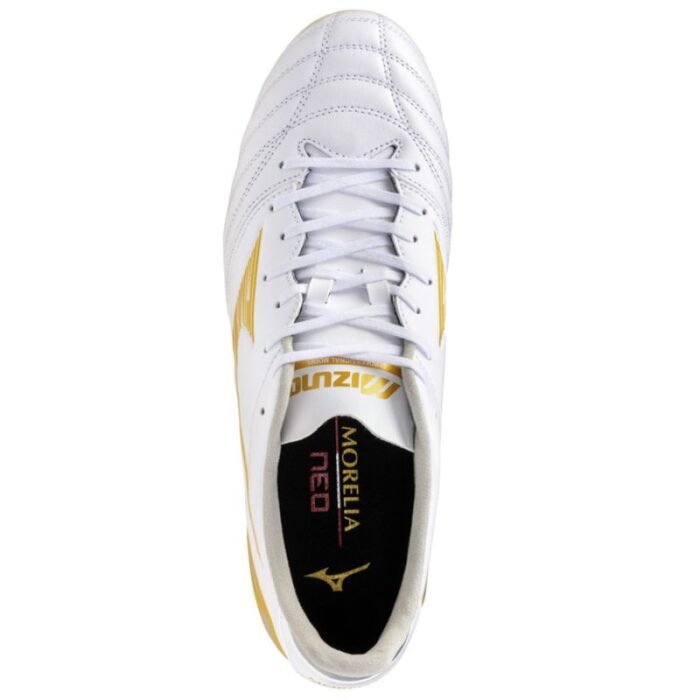 Mizuno Morelia Neo IV