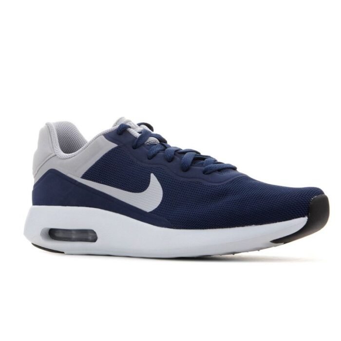Nike Erkek Air Max