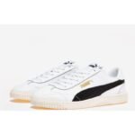 Puma Club 5v5 Ayakkabı M 38940603