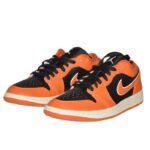 Kadın Air Jordan 1