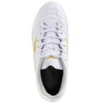 Mizuno Monarcida Neo III