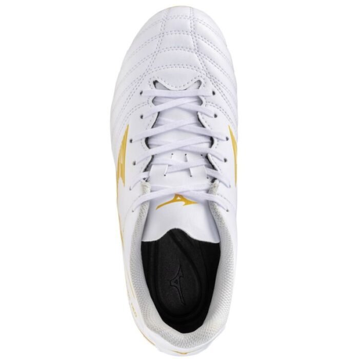 Mizuno Monarcida Neo III