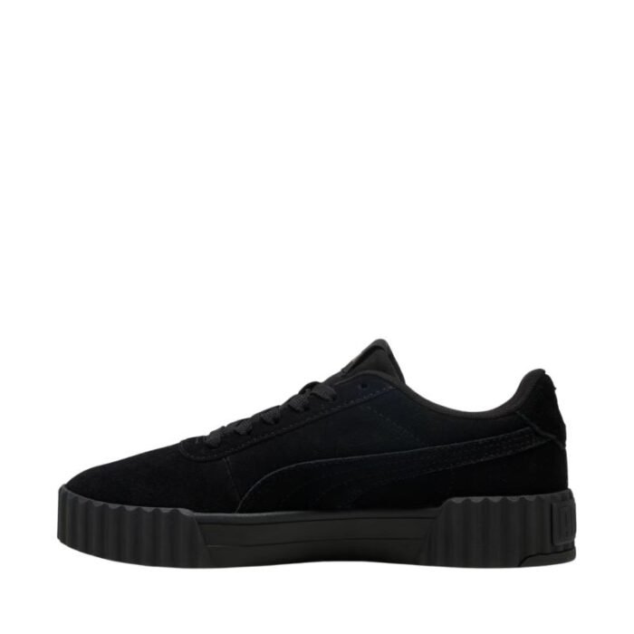 Puma Carina 3.0 SD