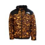 The North Face 1990