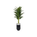 Biçiçek Areka Palmiyesi 170cm 2