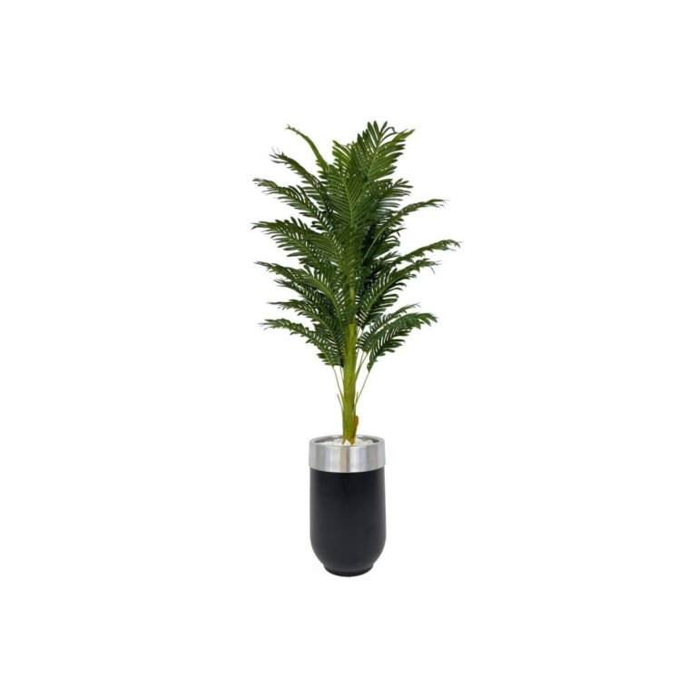 Biçiçek Areka Palmiyesi 170cm 2