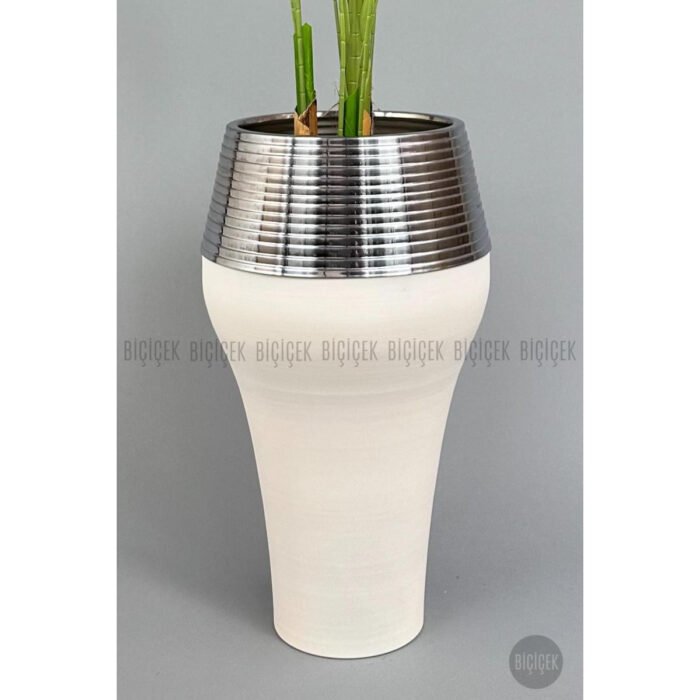 Biçiçek 220cm Starliçe Bitkisi 2