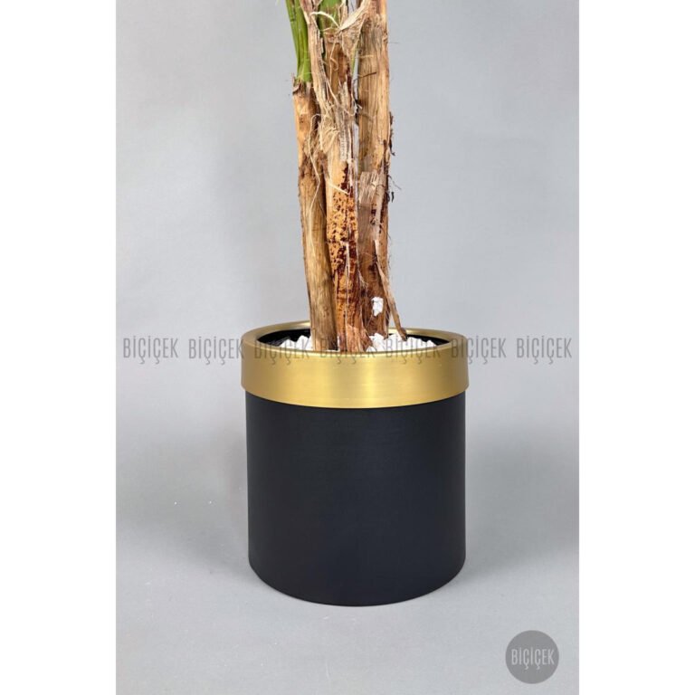 Biçiçek Areka Palmiyesi 220cm 2