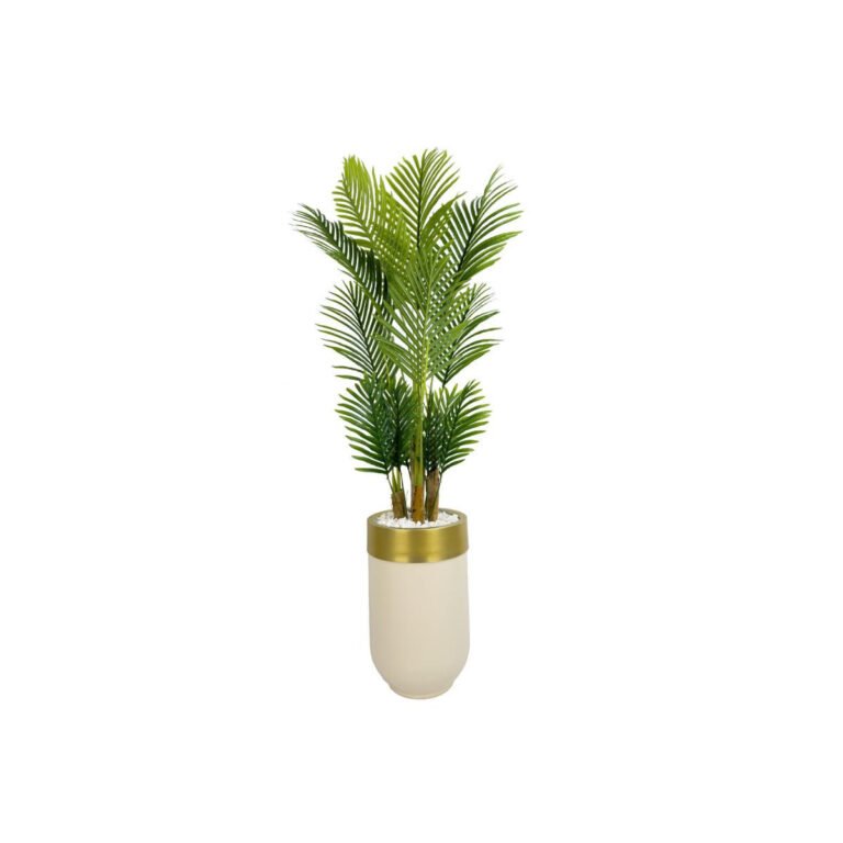 Biçiçek Areka Palmiyesi 160cm 2