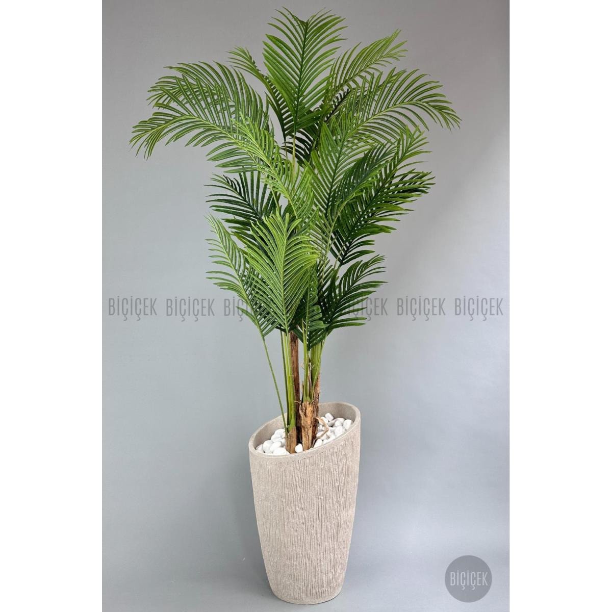 06b3ecfe2dcb47bed013-0 Biçiçek Areka Palmiyesi 250