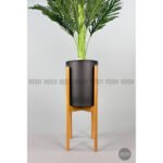 Biçiçek 150cm Areka Ağacı 2