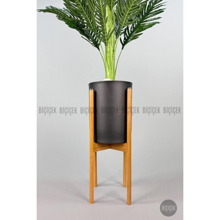 Biçiçek 150cm Areka Ağacı 2